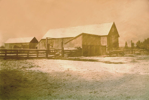 Barn at the Stover's