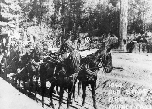 Old Stagecoach