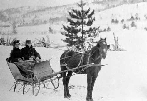 Gatchell's In Sleigh