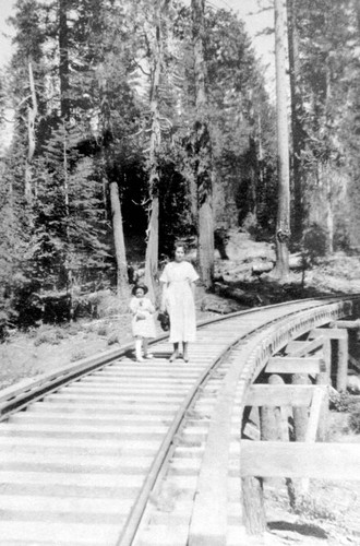 Railroad trestle over south fork of the Antelope Creek