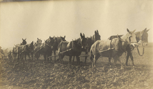 Sacramento Valley Sugar Company