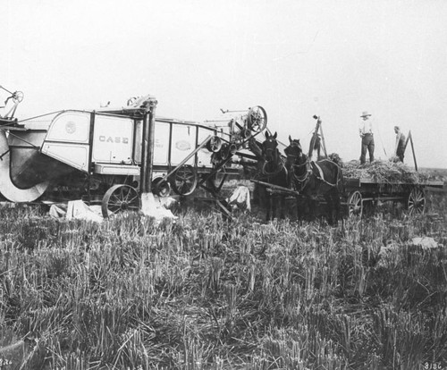 Rice Harvesting