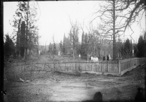 Shasta Cemetery, Shasta County