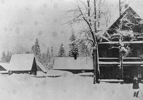 Pine Grove Hotel in Snow