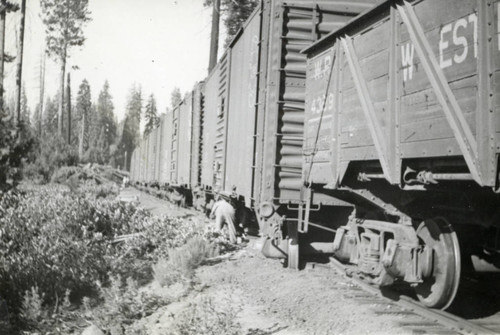 Railroad Engineer on the Tracks