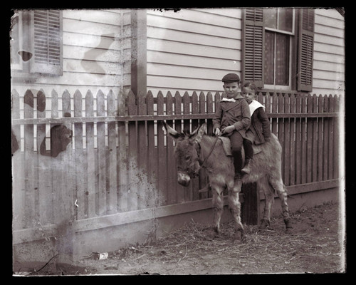 Children on burro