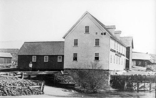 Adin Flouring Mills