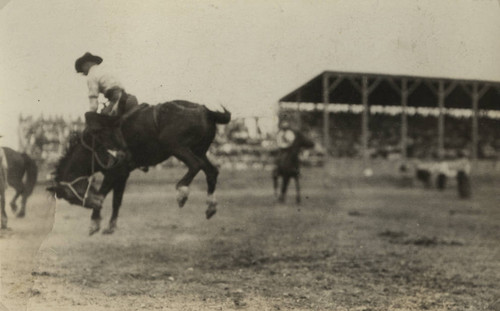 Boise Stampede