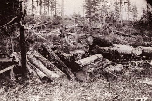 Train Wreck Near Lyonsville