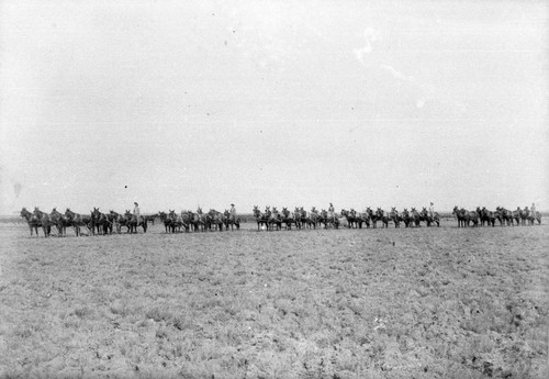 Several Teams of Donkeys