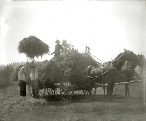 Hay wagon at Spanish Ranch