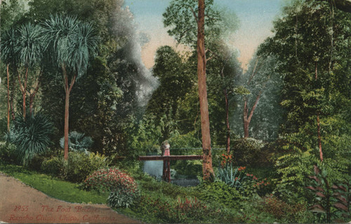 The Foot Bridge at Rancho Chico