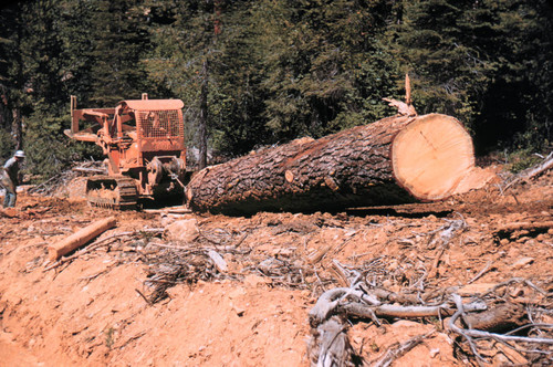 Skidding log--Soper-Wheeler Company