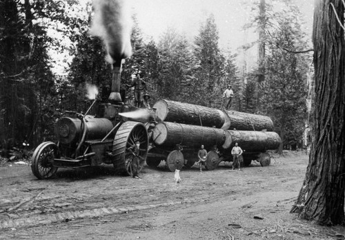 Logs Heading for the Mill