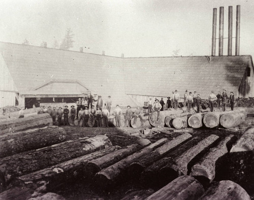 Lumber Stacks and Mill