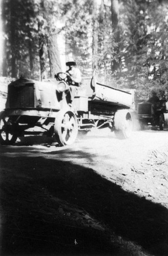 Logging Trucks