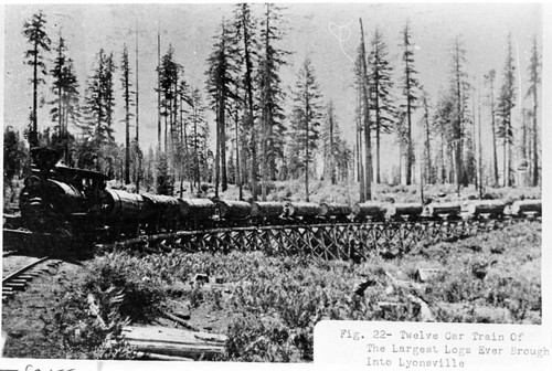 Twelve car lumber train