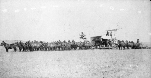 Grain Harvest on J.W. Brim Ranch