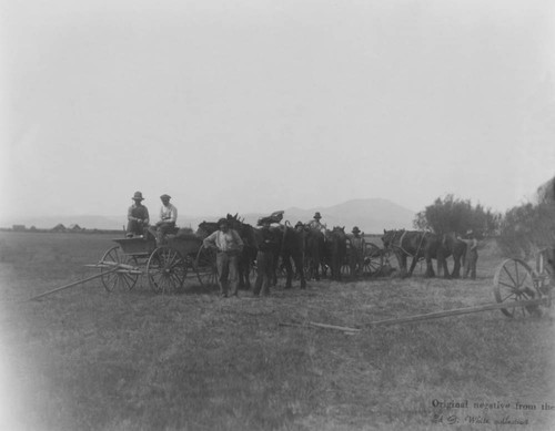 Farmers and wagons