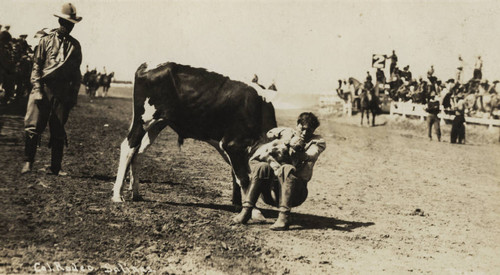 John Dobbins, Cal Rodeo