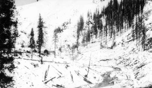 Grizzly Creek Saw Mill Camp