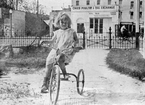 Little girl on tricycle