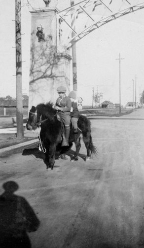 Two Children on Pony