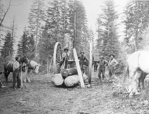 Lumbermen and Logs