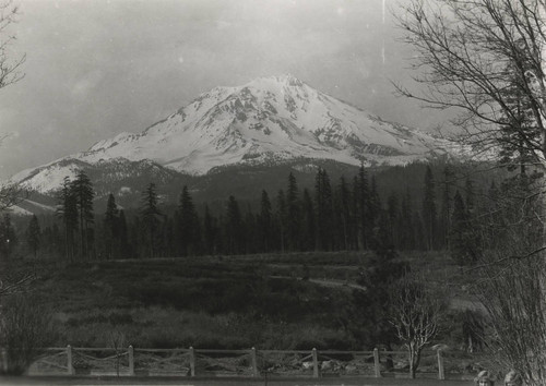 Mount Shasta