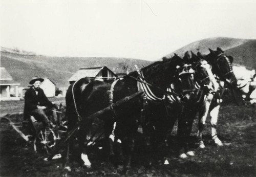 Man Plowing Field