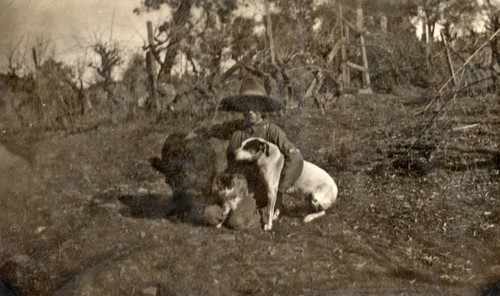 Earl Dobbins in Chico