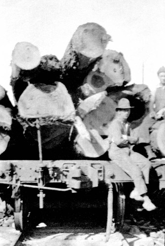 Load of logs on narrow gauge railroad, Lyonsville