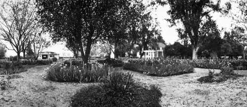 Garden at Glenn Ranch