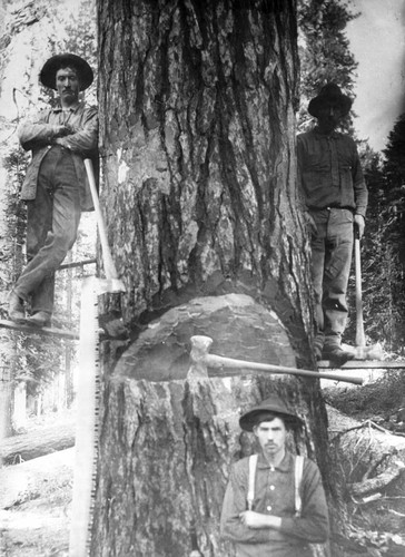 Three Lumbermen — Calisphere