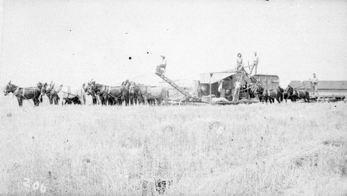 Farm Equipment Pulled by Mules