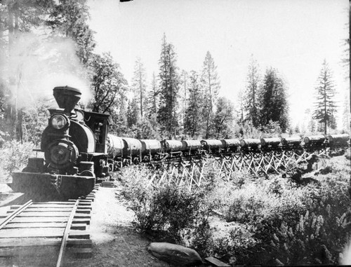 Narrow Gauge Logging Train