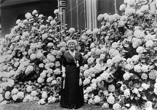 Annie Bidwell and Hydrangea Bush