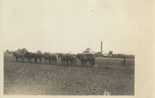 Sacramento Valley Sugar Company