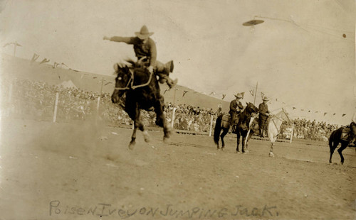 California Rodeo