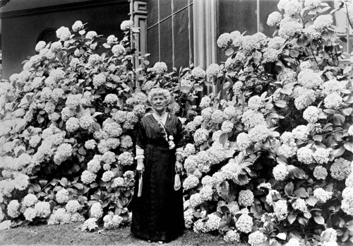 Portrait of Annie Bidwell standing in front of a hydrangea bush