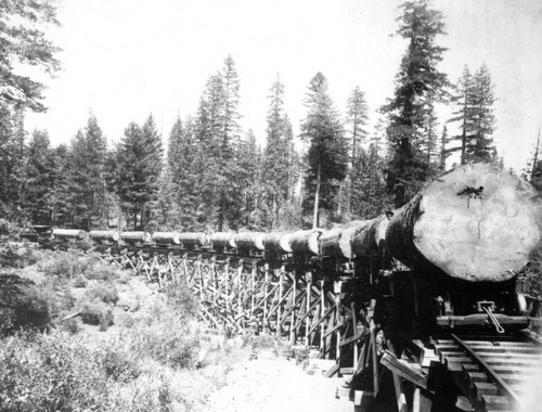 Logging Train at Lyonsville