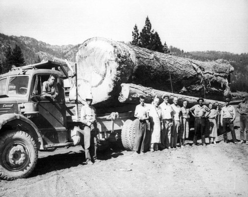 Logging truck at Silver Creek