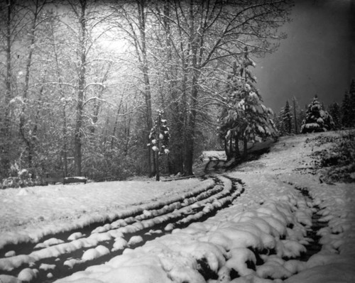 Road Through Hughes Meadow