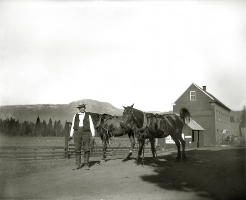 Man leading horses at Spanish Ranch