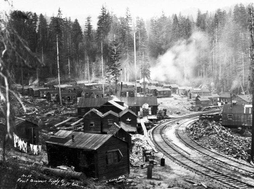 Logging Camp