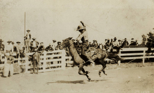 California Rodeo