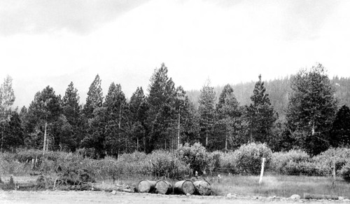 Bucks Ranch at upper end of meadow