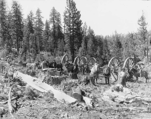 High Wheel Logging