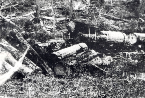 Trestle Accident Scene near Champion Mill