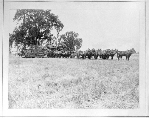 Harvester and crew